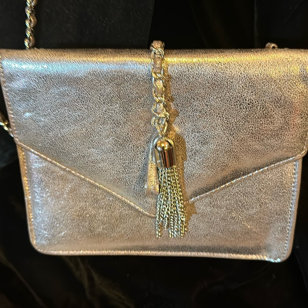 Silver w/ tassel on closure envelope clutch